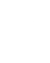 Bureau Veritas Logo